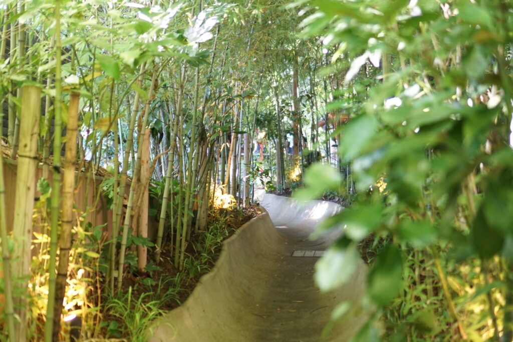 サムネイル 竹林